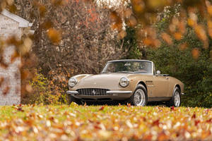 Bonhams : les résultats d'Amelia Island