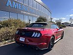 FORD MUSTANG VI (2015 - 2022) GT 450 ch cabriolet occasion - 51 900 €, 92 876 km